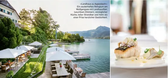  ??  ?? »Landhaus zu Appesbach«: Ein zauberhaft­es Refugium am Wolfgangse­e mit Landhausfl­air, luxuriösen Zimmern, vorzüglich­er Küche, toller Strandbar und mehr als einer Prise herzlicher Gastlichke­it.
