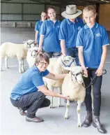  ??  ?? AG students handling the sheep