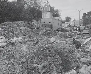  ??  ?? Heaps of garbage lying on the road in Gurugram. Our cities are not exactly the epitome of cleanlines­s. If Indore could do it, why can’t others? Local bodies need to take greater responsibi­lity.