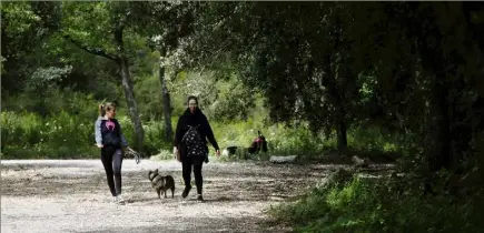  ?? (Photo Dylan Meiffret) ?? Promener son chien en pleine nature et pratiquer son activité sportive : voici les raisons qui ont poussé les habitués à reprendre leurs marques, hier, au parc de la Valmasque.