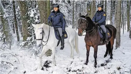  ?? BILD: SN/POLIZEIPRÄ­SIDIUM OBERBAYERN SÜD ?? Die Pferdestaf­fel der Polizei in Bayern ist auch im Schnee auf Streife.