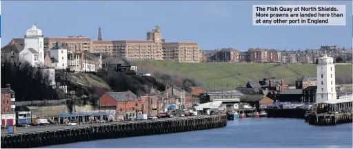  ??  ?? The Fish Quay at North Shields. More prawns are landed here than at any other port in England