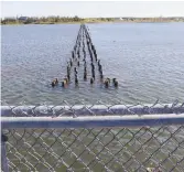  ?? - Acadie Nouvelle: Mario Tardif ?? La première phase de constructi­on du pont était prévue pour le 1er juin.