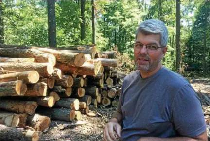 ?? EVAN BRANDT — DIGITAL FIRST MEDIA ?? Gary Westlake Sr., owner of 170 acres of forest land in Warwick and North Coventry townships, explains how lumber cut on the Warwick side of his property will be transporte­d to the saw mill.