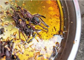  ?? ?? Two fried tarantulas in golden oil at Oudongk market.