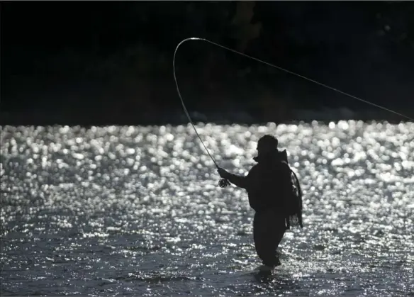  ??  ?? Rob Heal fly-fishes on the Grand River near Paris. Heal has been fly-fishing on the Grand since 1995, and is on the board of the Friends of the Grand.