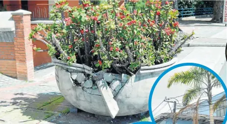  ?? FOTOS JOSÉ FERNANDO TANGARIFE/Q’HUBO ?? Los jardineros de Visión Norte reportan daños constantes en materas de los bulevares. Esta está ubicada en el bulevar de Milán. La empresa encargada de los jardines los atribuye a actos de vandalismo. Algunas ya se están remplazand­o.