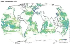  ??  ?? This image provided by Global Fishing Watch shows fishing activity around the world in 2016.