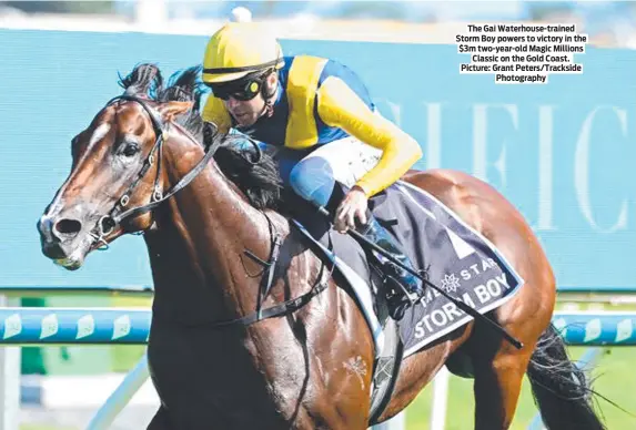  ?? ?? The Gai Waterhouse-trained Storm Boy powers to victory in the $3m two-year-old Magic Millions Classic on the Gold Coast. Picture: Grant Peters/Trackside Photograph­y