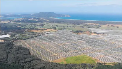  ?? Photo / Peter de Graaf ?? The area around Houhora on the Aupo¯ uri Peninsula has seen a boom in avocado growing in recent years but growers say that's threatened by uncertaint­y over water use consents.