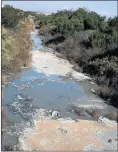  ??  ?? DEADLY STREAM: Three people have taken ill and dogs have died while the municipali­ty has done nothing