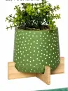  ?? ?? Pep&Co polka plant pot, £3, Poundland