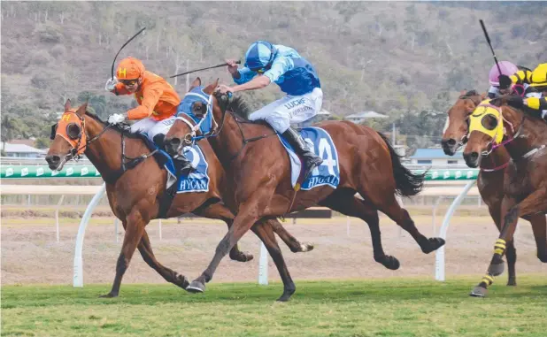  ?? Picture: MATTHEW ELKERTON ?? TOO STRONG: Frankie Edwards rides Sensation Ally (blue) into the clear to clinch the Townsville Amateurs Cup in a photo finish.