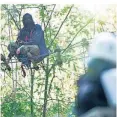  ?? FOTO: DPA ?? Ein Aktivist hockt im Hambacher Forst auf einer Seilbrücke.