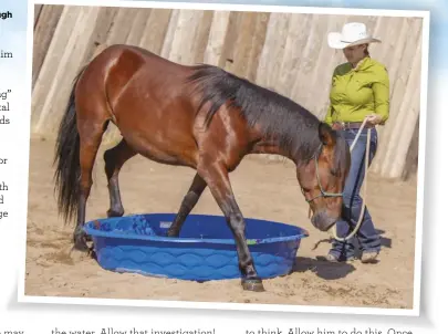  ??  ?? Eventually your horse should be comfortabl­e stepping right through the pool.