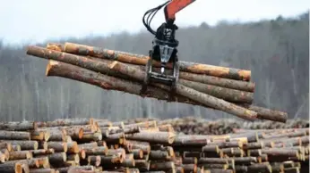  ?? SEAN KILPATRICK/THE CANADIAN PRESS FILE PHOTO ?? The U.S. imposed an additional 6.87% in preliminar­y average anti-dumping tariffs on Canadian softwood lumber.