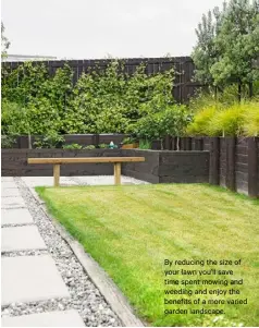  ??  ?? By reducing the size of your lawn you’ll save time spent mowing and weeding and enjoy the benefits of a more varied garden landscape.