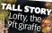  ?? ?? TALL STO RY Lofty, the 9ft giraffe