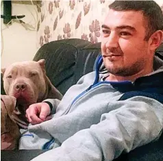  ??  ?? Guilty: Andrew McGowan, 35, let his dogs run amok
