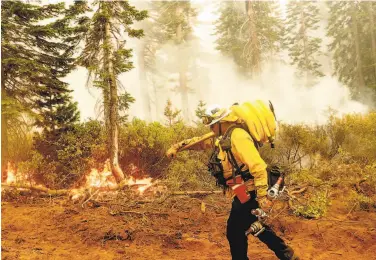  ?? Noah Berger / Associated Press 2020 ?? Cal Fire Battalion Chief Craig Newell battles a blaze last year in California’s Plumas National Forest.