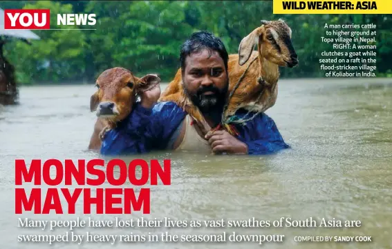  ??  ?? A man carries cattle to higher ground at Topa village in Nepal. RIGHT: A woman clutches a goat while seated on a raft in the flood-stricken village of Koliabor in India.