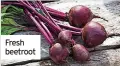  ?? ?? Fresh beetroot