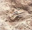 ?? KUSA-TV ?? Constructi­on workers dug up bones from a triceratop­s dating back 66 million years, a museum curator says.