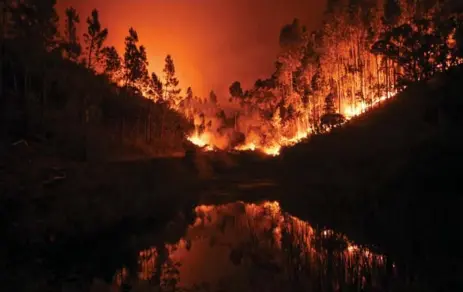  ?? PATRICIA DE MELO MOREIRA/AFPGETTY IMAGES ?? The wildfire, reflected in a stream at Penela, Coimbra, in central Portugal, had killed at least 62 people, many of them burned to death in their cars.