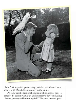  ??  ?? ▶ Georgie the sulphur-crested cockatoo with Sir David and three-year-old daughter Susan in the garden of their Richmond home in 1957. He collected the parrot in New Guinea.