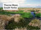  ?? ?? Thorne Moor, South Yorks
