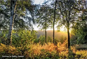  ??  ?? Sunrise in Dalby Forest.