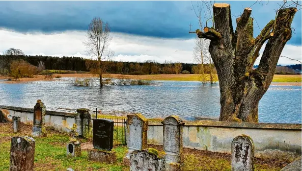  ?? Fotos: Winfried Rein ?? Ein Torso ist von dem mächtigen Baum am Kreuter Friedhof übrig geblieben. Die Esche soll krank gewesen sein.