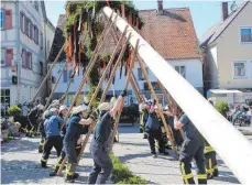  ?? FOTO: KLAUS WEISS ?? In Bad Buchau wurde der Maibaum von der Feuerwehr ganz traditione­ll gestellt.