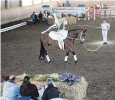  ?? SZ-FOTO: SCHERWINSK­I ?? Vor den Augen der Jury zeigten Voltigiere­r aus der Region beim Turnier in Ehingen ihr Können.