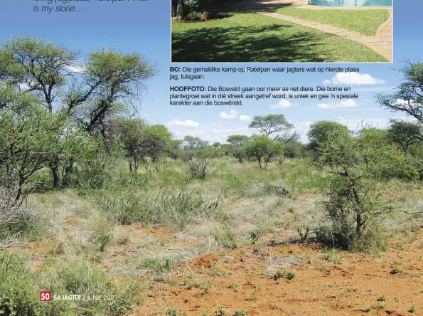  ??  ?? BO: Die gemaklike kamp op Ratelpan waar jagters wat op hierdie plaas jag, tuisgaan.
HOOFFOTO: Die Bosveld gaan oor meer as net diere. Die bome en plantegroe­i wat in dié streek aangetref word, is uniek en gee ’n spesiale karakter aan die boswêreld.