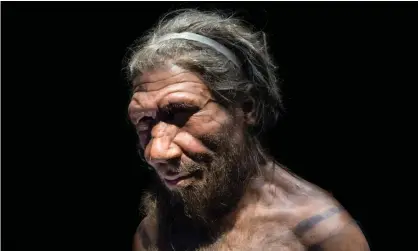  ??  ?? Scientists broadly agree that the Neandertha­ls died out about 40,000 years ago. Photograph: IanDagnall Computing/Alamy Stock Photo