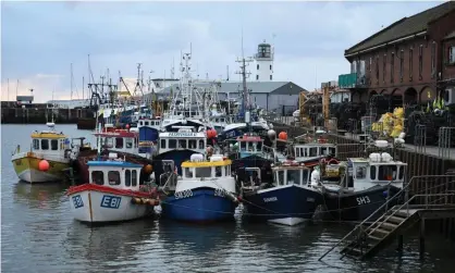  ??  ?? Fishing boats moored in the harbour at Scarboroug­h, England, 4 January 2021. Photograph: Oli Scarff/AFP/Getty Images