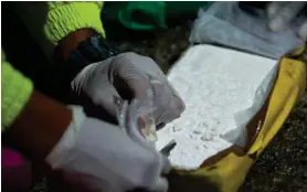  ?? AFP ?? La mayor parte de la cocaína de Colombia se consume en Estados Unidos.