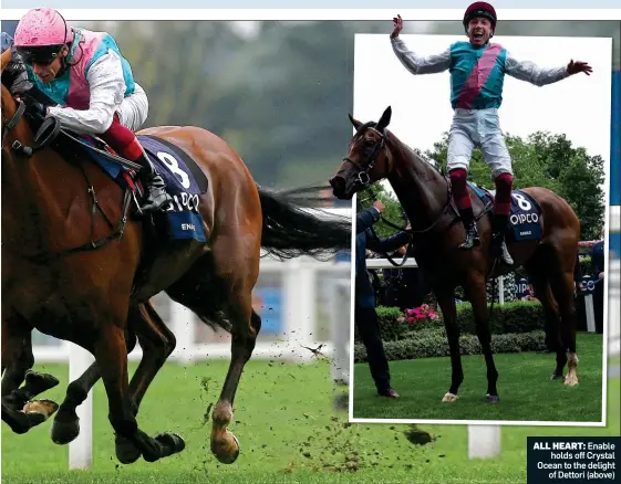  ??  ?? ALL HEART: Enable holds off Crystal Ocean to the delight of Dettori (above)