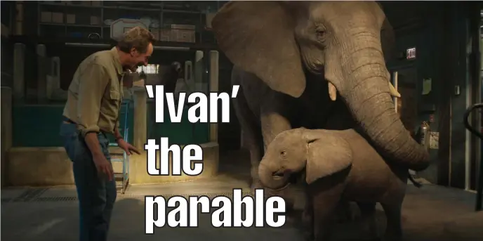  ?? DiSNEy pLuS pHOTOS ?? THREE RING CIRCUS: Bryan Cranston, left, with baby elephant Ruby, voiced by Brooklynn Prince, and Stella, voiced by Angelina Jolie, in a scene from ‘The One and Only Ivan.’