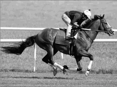  ?? BARBARA D. LIVINGSTON ?? Snapper Sinclair is 2 for 2 at Kentucky Downs, including a victory in last year’s $750,000 Tourist Mile at odds of 10-1.