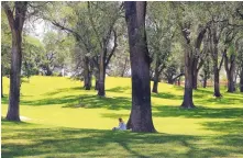  ?? JIM THOMPSON/JOURNAL ?? A visitor enjoys her lunch Tuesday under the trees at Roosevelt Park. Even though the Trust for Public Land lowered the city’s ParkScore due to a lack of restrooms and splashpads, Albuquerqu­e’s parks generally scored well in many other categories.