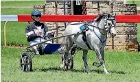 ??  ?? Kate Coppins will represent New Zealand at the New South Wales Mini Trotting Associatio­n Championsh­ip.