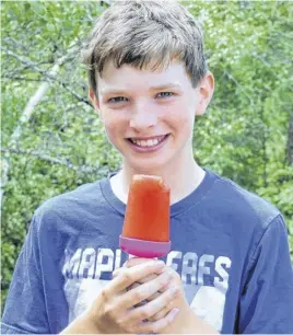  ?? GINA BELL ?? Homemade ice pops are a tasty throwback to simpler summer days.