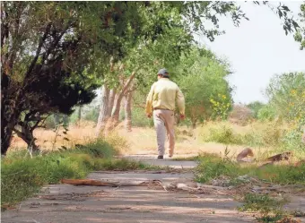  ??  ?? Bob Lucio, former owner of Fort Brown Memorial Golf Course, walks along a cart path that was overtaken by vegetation after it closed in 2015. Steel columns separate the Brownsvill­e course from the Rio Grande. SANDY HOOPER, USA TODAY SPORTS