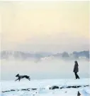  ?? FOTO: SCANPIX ?? TVANG: Nå er det båndtvang i Skien, Siljan og Porsgrunn.