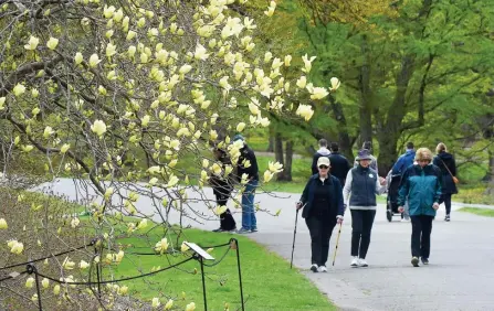  ?? JIM MICHAUD / BOSTON HERALD ?? SPRING IN THE AIR: People walk by a budding tree on Sunday at the Arnold Arboretum.