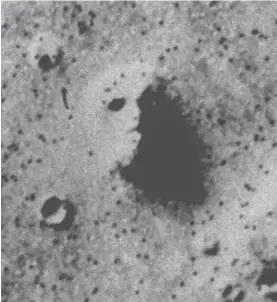  ?? FOTO: AP/NASA ?? «Ansiktet» på Mars var et produkt av lysvirknin­ger.