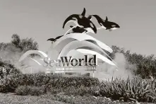  ?? John Raoux / Associated Press ?? SeaWorld, in Orlando, Fla., above, San Antonio and other sites, seeks a loan to keep workers, but it laid off 95 percent of them.