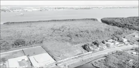  ??  ?? The area where the mangroves were destroyed (Caliper Drones photo for Stabroek News)